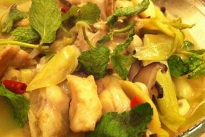 薄荷鯰魚 薄荷鯰魚