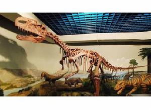 黑龍江博物館館藏