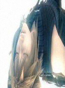 撿來的幸福 撿來的幸福