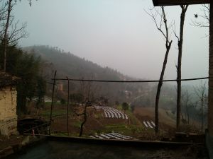 陳家庵村 陳家庵村