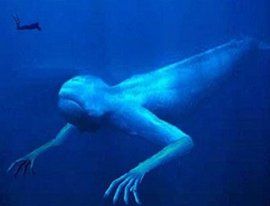 寧恩[南極神秘人]