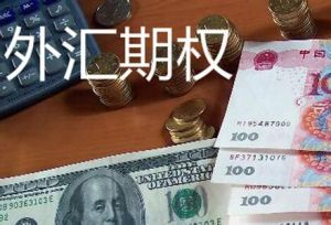外匯期貨期權