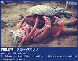 布萊克特琳娜 布萊克特琳娜