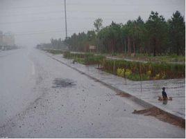 降水現象 降水現象