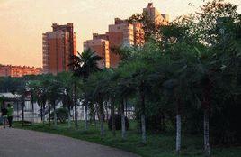 長沙民政學校 長沙民政學校