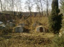 陳祖林[抗日英雄]