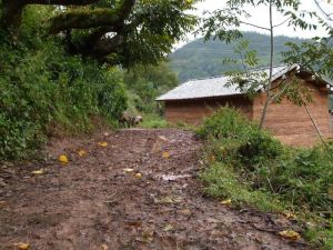 木瓜場村 木瓜場村