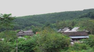 春光自然村 春光自然村