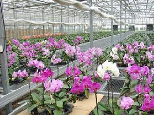 天津市津南農業科技園