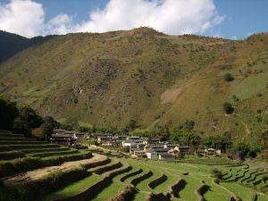 茶山村[雲南省大理雲龍縣舊州鎮茶山村]