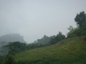 舊國自然村 舊國自然村