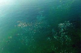 安陽水冶鎮 安陽水冶鎮