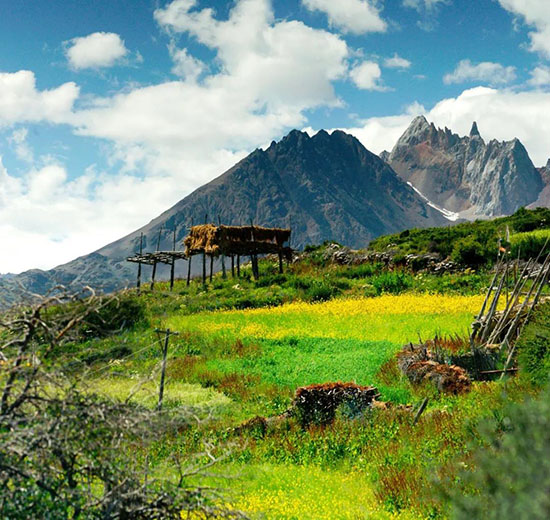 中國這20個小村,美成了你最喜歡的樣子!