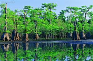 卡皮瓦拉山國家公園