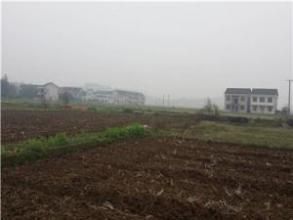 永啊柳村 永啊柳村