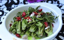 涼拌香椿芽 涼拌香椿芽