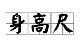 身高尺 身高尺