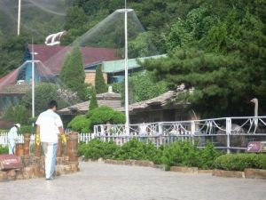 金鑫印尼鳥語林公園 金鑫印尼鳥語林公園