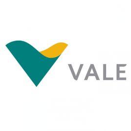 巴西淡水河谷公司 巴西淡水河谷公司