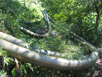 超高耐磨聚氨酯軟管