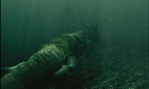 青海湖神靈顯形