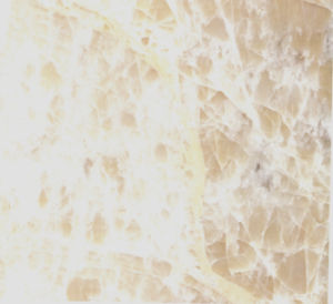 黃金網紋 | Gold Mesh |