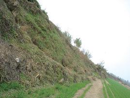 趙家泉村 趙家泉村