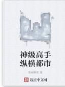 神級高手縱橫都市 神級高手縱橫都市
