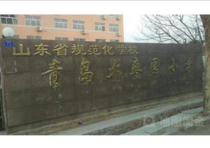 青島大棗園國小 青島大棗園國小