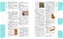 中華大字典