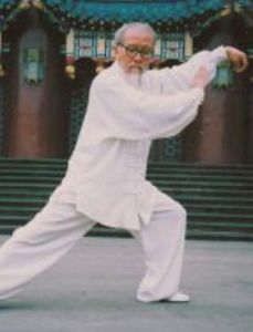 陳式太極拳新架一路 陳式太極拳新架一路