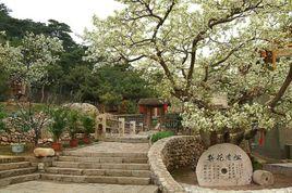 梨花草堂 梨花草堂