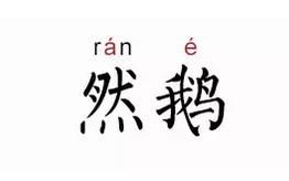 然鵝 然鵝