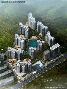 東正國際 東正國際