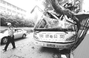 南京“百慕達”