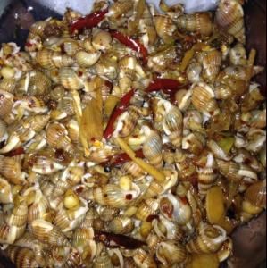 辣炒海瓜子 辣炒海瓜子