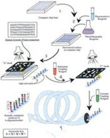 基因晶片技術 基因晶片技術