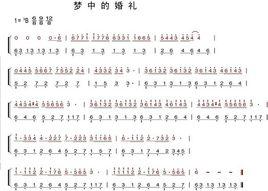 夢中的婚禮[理察·克萊德曼演奏鋼琴曲]