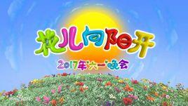 2017年中央電視台六一晚會