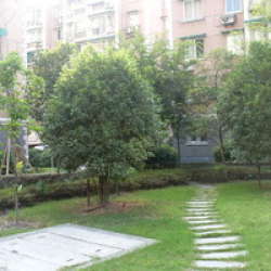 直箭道巷小區 直箭道巷小區