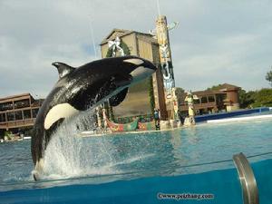 拉斯韋加斯 拉斯韋加斯