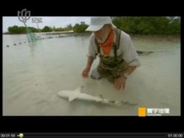 強直靜止 強直靜止