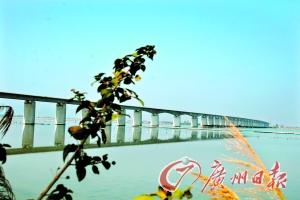 長沙灣特大橋 長沙灣特大橋