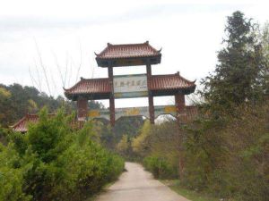 無想寺旅遊度假區 無想寺旅遊度假區