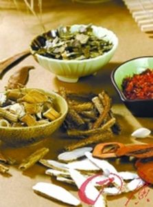 重組牛鹼性成纖維細胞生長因子 重組牛鹼性成纖維細胞生長因子