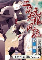 二次元無限風流 二次元無限風流