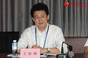 王松濤[北京市豐臺區團委書記]