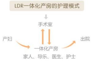 ldr產房優勢