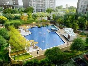 木魚石水木年華 木魚石水木年華