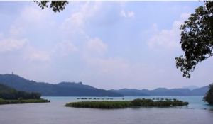 大竹湖賞鳥區 大竹湖賞鳥區